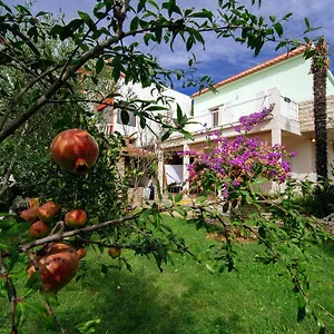 Apartment Maslina, Bibinje